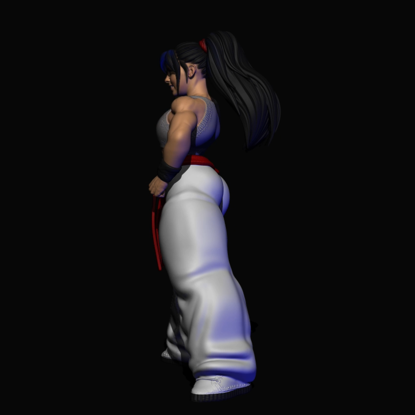 AniSoul