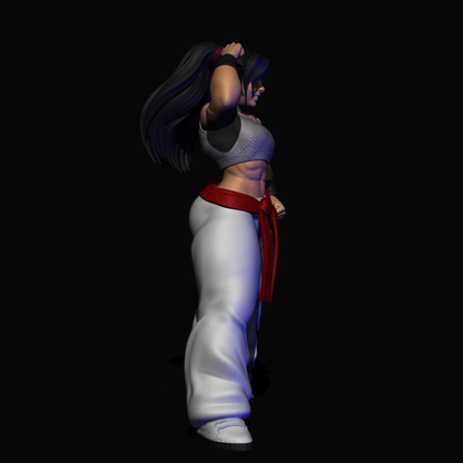AniSoul