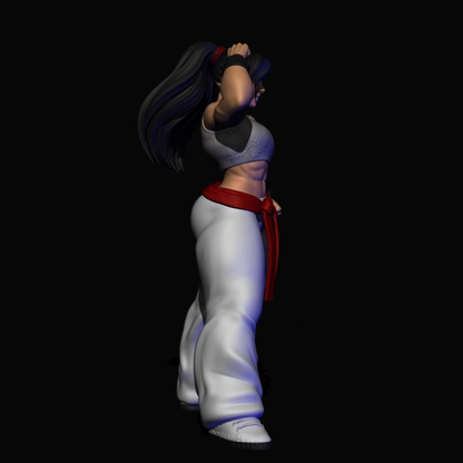 AniSoul
