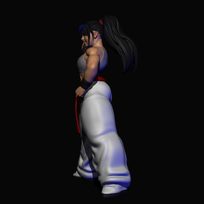 AniSoul
